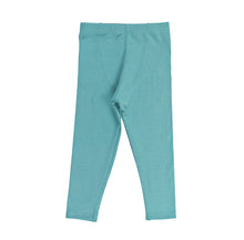 Load image into Gallery viewer, Little Leggings